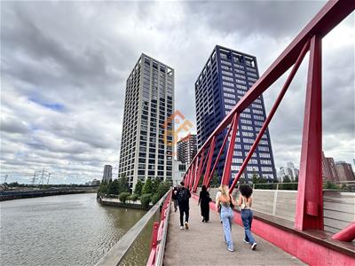 Picture 27